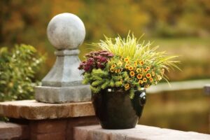 A black ceramic pot filled with yellow and purple flowers and green foliage sits on a stone ledge next to a round stone finial, softly illuminated by community lights, with a blurred garden background.