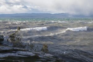 Waves crash against a rocky shoreline under a cloudy sky, with distant mountains on the horizon and windblown trees in the foreground, capturing the powerful movement and energy of new beginnings.