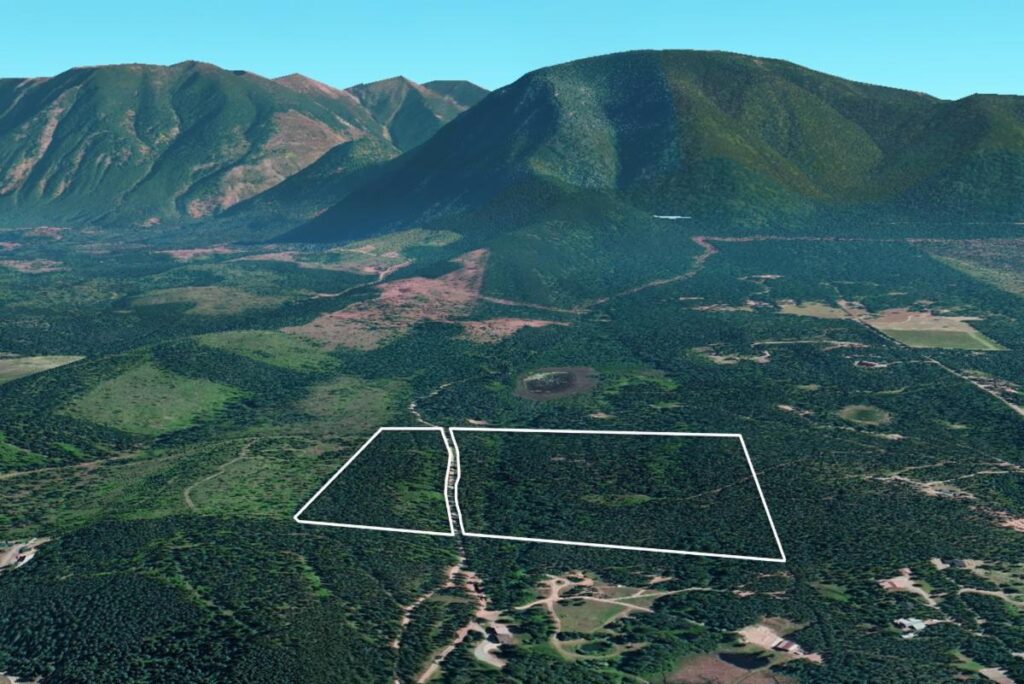 Aerial view of a green, forested landscape with a white outlined rectangular plot of land in the foreground, perfect for July Journeys, and tall, tree-covered mountains in the background under a clear blue sky.