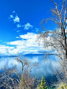 A serene lake reflects a bright blue sky with scattered clouds. Bare tree branches frame the foreground, while distant mountains rise on the horizon—a perfect Flathead Lake Home nestled in this vibrant sunlight.