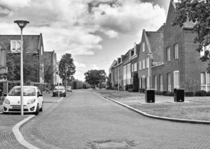 A quiet residential street with parked cars, brick houses on both sides, trees lining the road, and a cloudy sky overhead. The image is in black and white, capturing the steady momentum of daily life under February light.