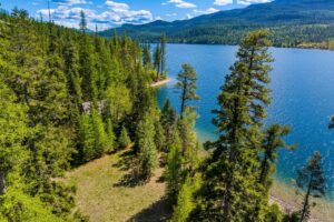 Aerial view of a forested lakeshore with tall evergreen trees, clear blue water, and a grassy clearing under a bright sky with scattered clouds and distant mountains—capturing the beauty of fall and the changing season on crisp days.