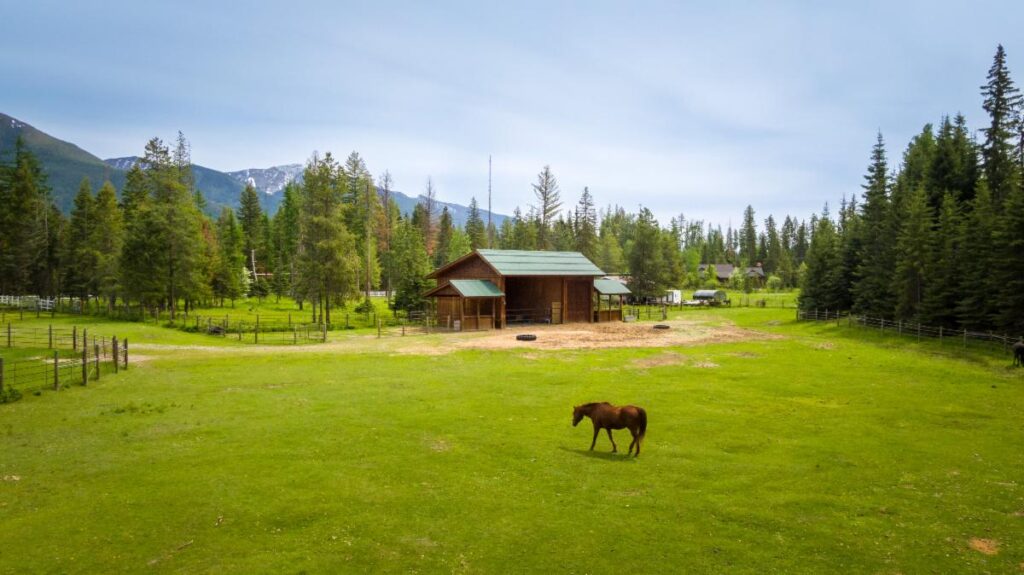 A brown horse stands in a green grassy field near a wooden barn, surrounded by trees and mountains under a partly cloudy autumn sky.