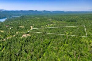 Aerial view of a large, forested area near Bigfork Days, with a white outline marking a triangular plot of land; a road and a lake are visible on the left, surrounded by dense green trees and distant hills under a clear blue sky.