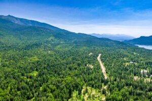 Aerial view of a lush green forest with a winding road symbolizing movement and new beginnings, mountains in the background, and a blue lake visible on the right under a clear sky.