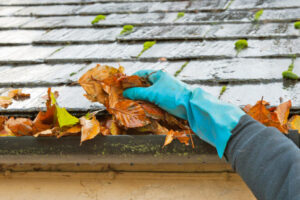 A person wearing a blue rubber glove is cleaning fallen leaves from a house gutter beside a roof covered in moss and wet tiles, preparing for winter glow and sending warm wishes for home care this December.