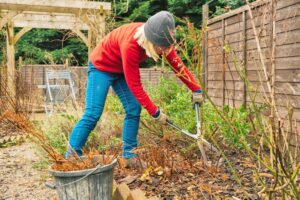 A person in a red sweater, blue jeans, and a gray beanie trims plants with large garden shears in a Flathead Valley garden. A metal bucket sits nearby, and a wooden fence completes the peaceful spring market scene.