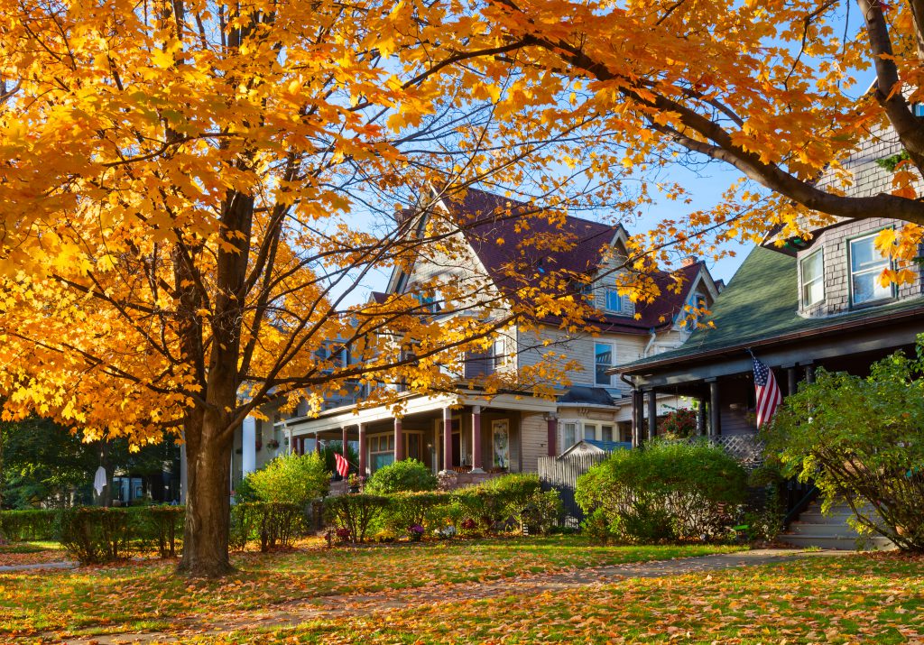 A tree with bright orange autumn leaves stands in front of charming houses with porches and American flags, as fallen leaves cover the grass and sidewalk, evoking August Reflections during this Season of Action.