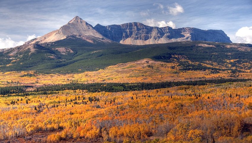 Mountain peak rises above dense forest with autumn foliage in vibrant shades of yellow, orange, and green under a partly cloudy sky. This August Reflections scene captures a mix of forest and open meadows in the foreground.