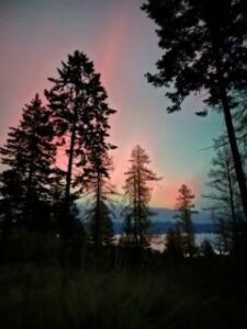 Tall trees are silhouetted against a colorful winter sunset sky, with shades of pink, orange, and blue. The scene overlooks a distant body of water, partially visible through the trees.
