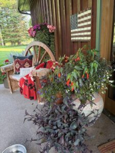 A rustic porch with a wooden bench decorated for June Joys—red blankets and pillows, a wagon wheel, potted flowers, and a rustic American flag. Green grass and trees in the background set the scene for summer celebrations.