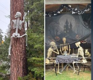 Left: A plastic skeleton is posed sitting high up on a tree. Right: Three skeletons are seated around a table with a crystal ball, surrounded by Halloween decorations and community lights, all set before a haunted house backdrop.