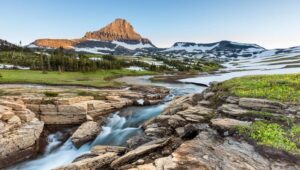A clear mountain stream flows over rocky terrain with patches of green grass and wildflowers, celebrating June Joys as it leads to a snow-dotted landscape and a prominent peak under a clear blue sky.