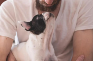 A man in a white t-shirt holds a small black and white dog that looks up at him affectionately, capturing a heartwarming moment in Flathead Valley—perfect for the lively spirit of the Spring Market season.