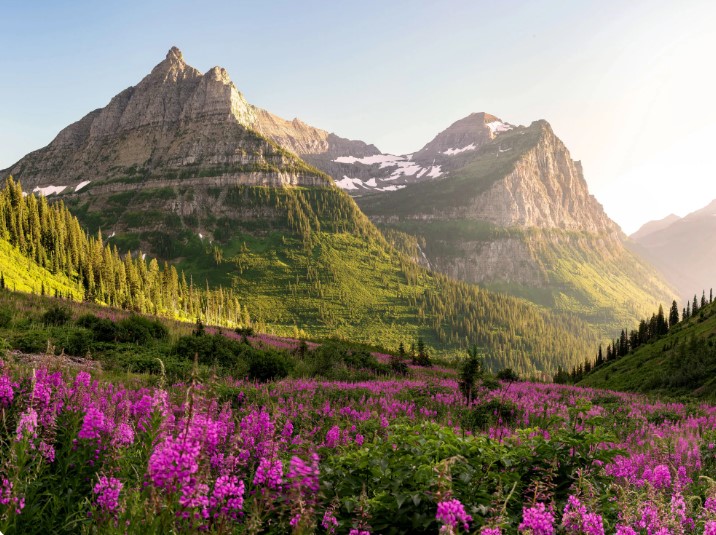 A scenic mountain landscape with rugged peaks and patches of snow, lush green slopes, and a field of vibrant pink wildflowers under a clear, sunlit sky—perfect for the hot real estate summer listing season.