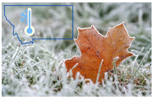 A frosty brown maple leaf lies on grass covered with frost, capturing the cool days of fall. In the corner, an outline of Montana displays a thermometer with a snowflake, indicating cold weather and the changing season.