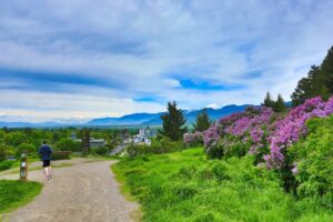 A person jogs on a gravel path lined with bright green grass and blooming purple lilacs in Flathead Valley, with a small town and distant mountains under a partly cloudy blue sky, capturing the vibrant energy of spring market season.