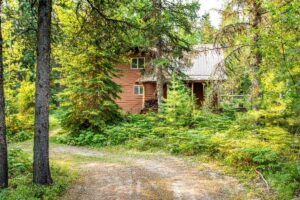 A rustic wooden cabin surrounded by dense green trees and plants sits at the end of a rolling dirt path. Sunlight filters through the foliage, creating a peaceful, full forest setting perfect for an August retreat.