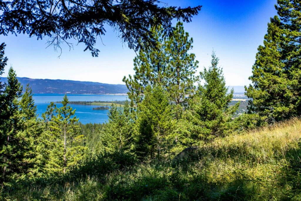 A scenic view of a lake with full blue water, surrounded by green pine trees and rolling grassy hills, with distant mountains under a clear August sky.