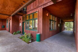 A covered walkway alongside a wooden building with large green-trimmed windows, a green door, some small plants, and a green trash can evokes new beginnings. Trees and greenery in the background add to the fresh sense of intention.