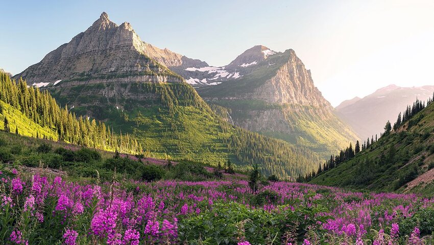 A lush green mountain valley with tall, rugged peaks in the background, patches of snow, and a vibrant field of blooming purple wildflowers in the foreground signals new opportunities beneath a clear sky.