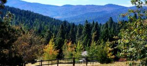 A scenic view of forested mountains under a blue sky, with evergreen and autumn-colored trees in the foreground, a wooden fence, and a small building—perfect for those seeking Bigfork real estate in a tranquil mountain setting.