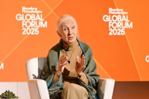 An older woman with gray hair sits in a white chair, hands raised as if sharing folklore. She wears a green shawl and tan clothes. The orange background displays Bloomberg Philanthropies Global Forum 2025.