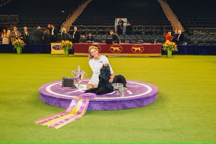 A woman sits with a black dog on a purple podium in a large indoor arena, surrounded by trophies, ribbons, and flowers, celebrating new opportunities and victories at the dog show event as spring brings fresh excitement.