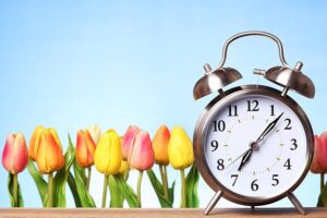 A classic silver alarm clock shows 10:09, standing on a wooden surface at the Spring Market. Behind it, rows of colorful tulips in yellow, red, and orange bloom against the clear blue Flathead Valley sky.