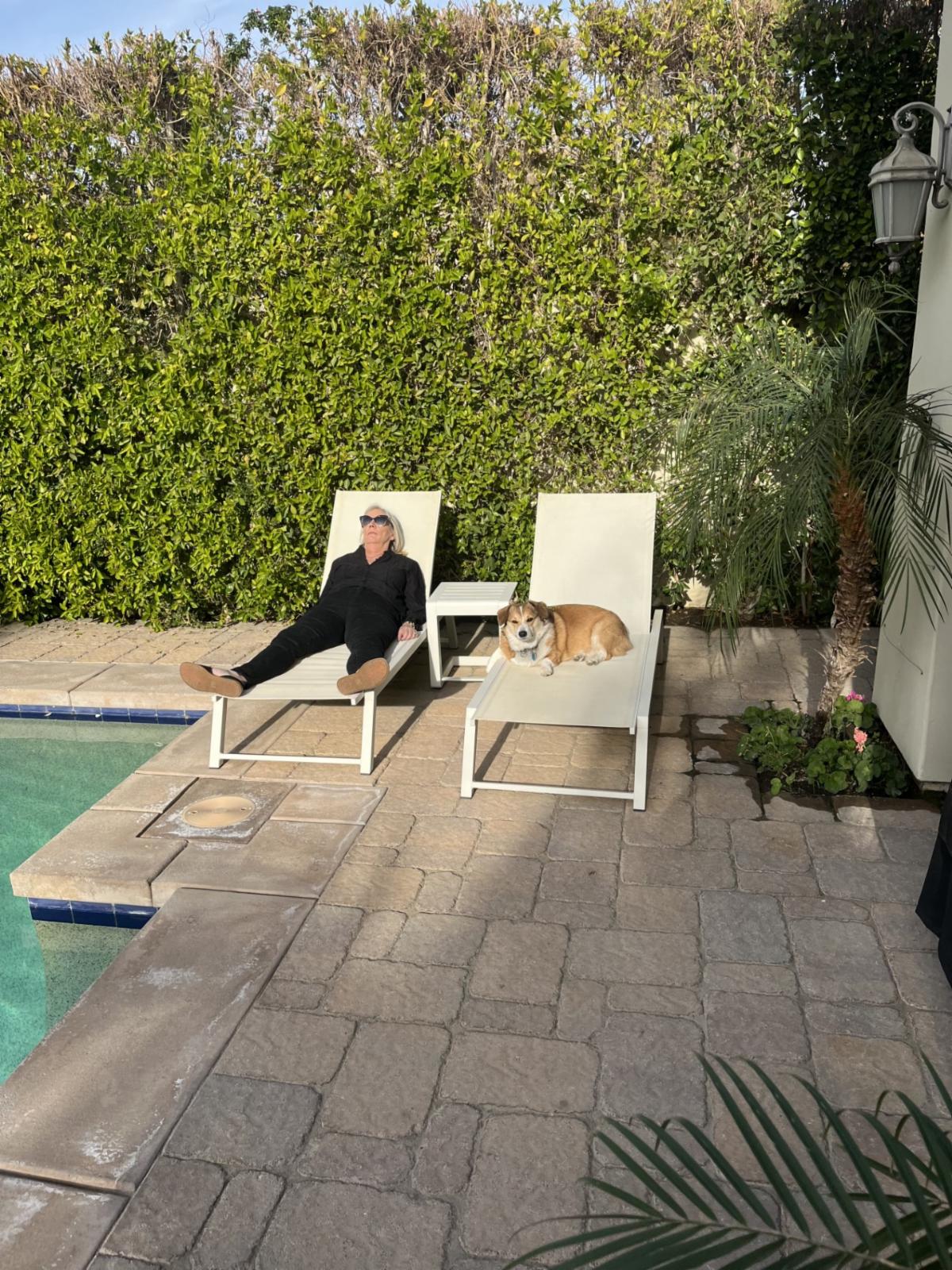 A person in black clothes relaxes on a lounge chair by a pool, while a dog sits nearby. They enjoy the sunny backyard with green hedges and a palm tree, embracing the Spring vibe and welcoming new opportunities.
