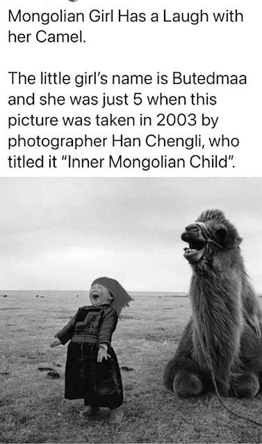 A young Mongolian girl laughs joyfully next to a sitting camel on a grassy plain. The black-and-white photo captures their open-mouthed expressions as they face forward, evoking the spirit of Spring Success after a long Winter Pause.