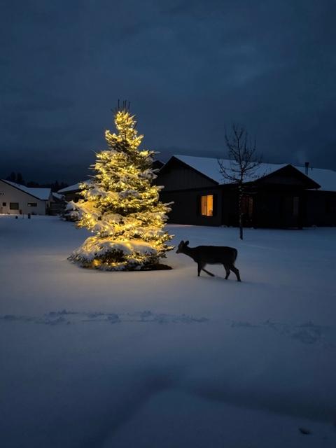 A deer stands near a snow-covered, decorated Christmas tree glowing with white lights in a snowy yard at dusk—a peaceful Winter Pause. Snow-capped houses are visible in the background, completing the tranquil winter scene.
