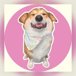 A happy corgi dog with closed eyes and a big smile, wearing a floral bandana, sits in front of a pink circle background, capturing the joyful spirit of the spring season.