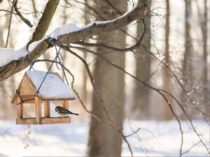 A small bird perches on a snow-covered wooden bird feeder hanging from a tree branch, filling the sunlit, snowy forest with a sense of winter wonder and gratitude.