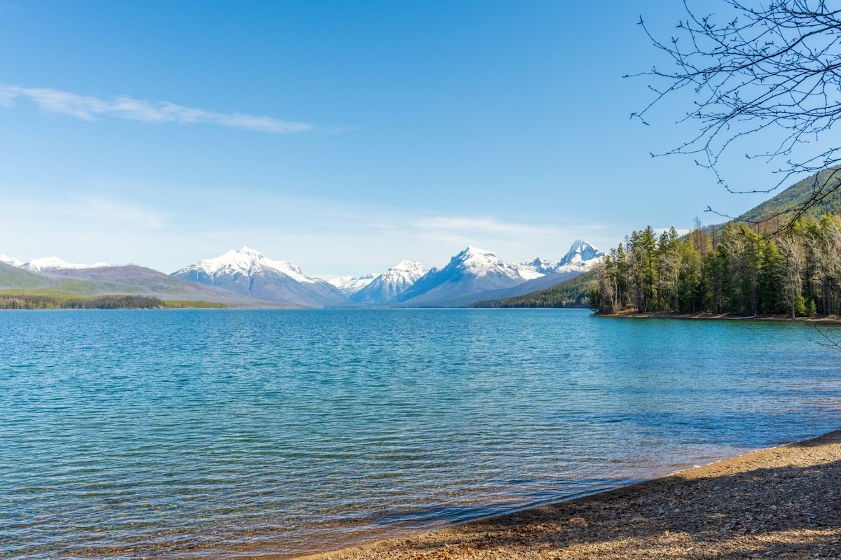 Clear blue lake with a rocky shoreline, surrounded by pine trees on the right. In the background, snow-capped mountains rise under a bright blue sky with a few wispy clouds. Some bare branches frame the upper right corner.